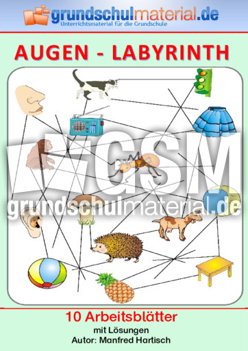 Augen-Labyrinth.pdf